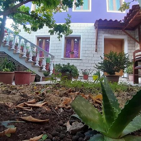 Guesthouse Hlias Gloria Μπεράτ Εξωτερικό φωτογραφία